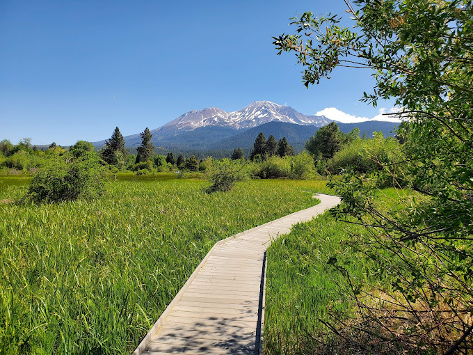 Sisson Meadows